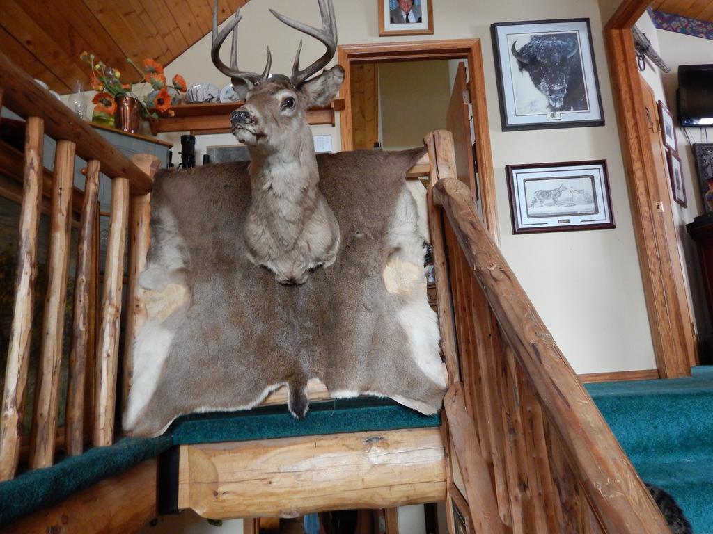 Idle Spurs Log Cabin Bed & Breakfast Black Diamond Екстериор снимка