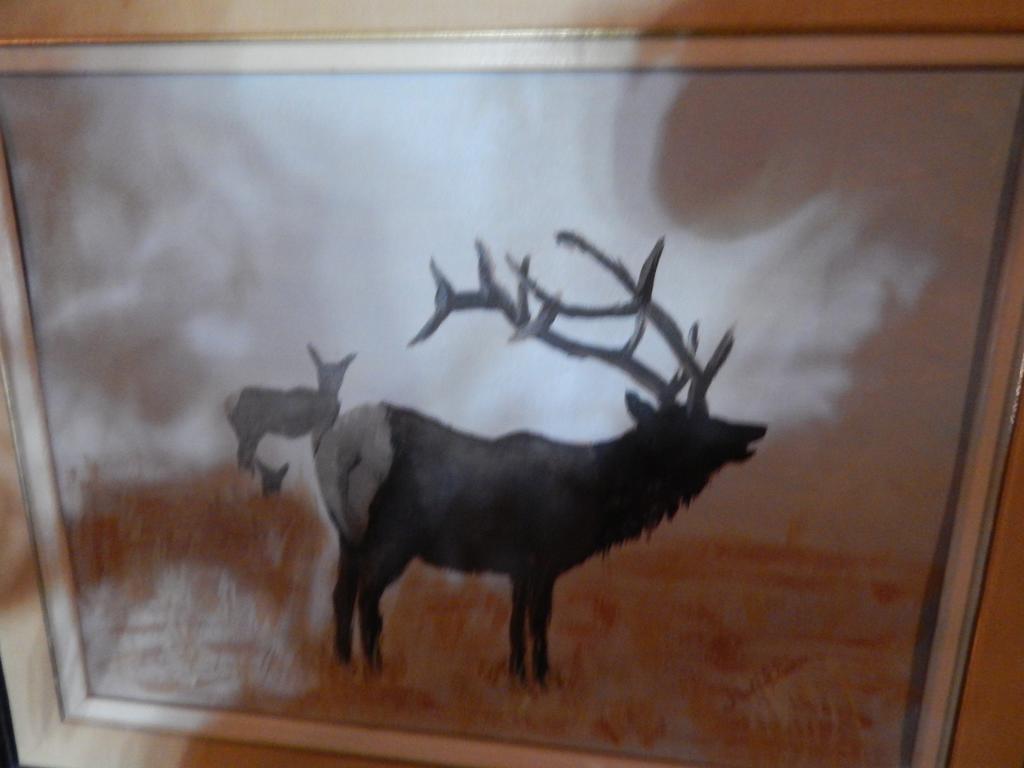 Idle Spurs Log Cabin Bed & Breakfast Black Diamond Екстериор снимка