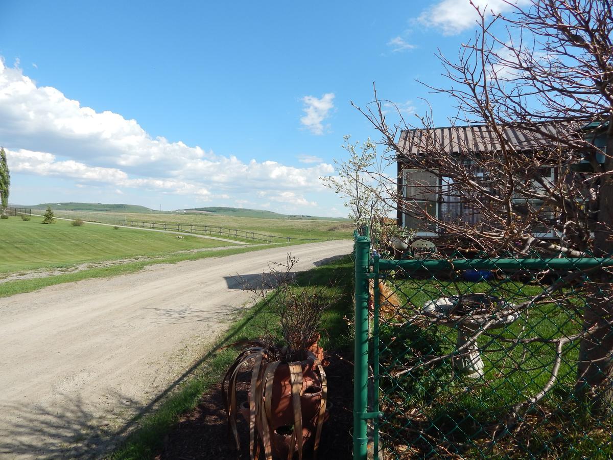 Idle Spurs Log Cabin Bed & Breakfast Black Diamond Екстериор снимка